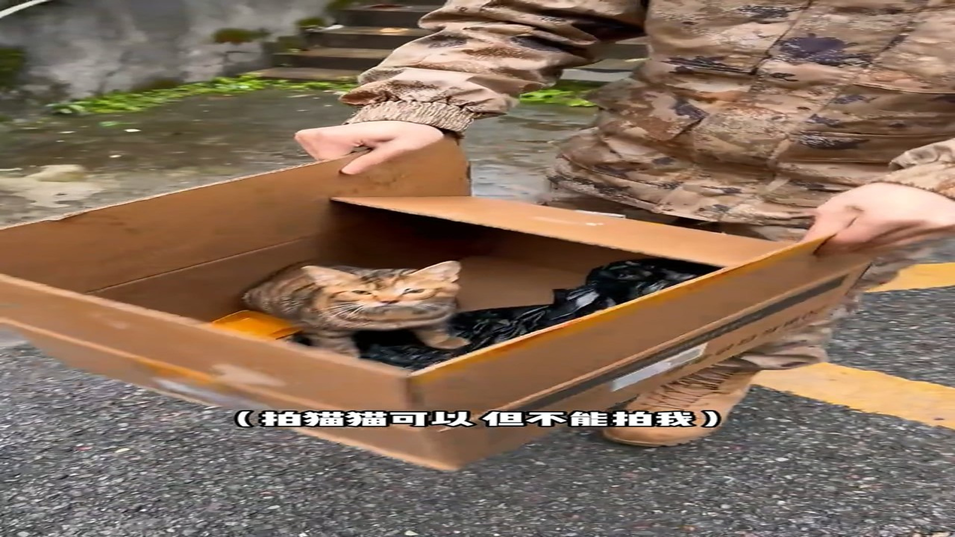 H0107037_Rescue Team Brings Hope To A Helpless Animal