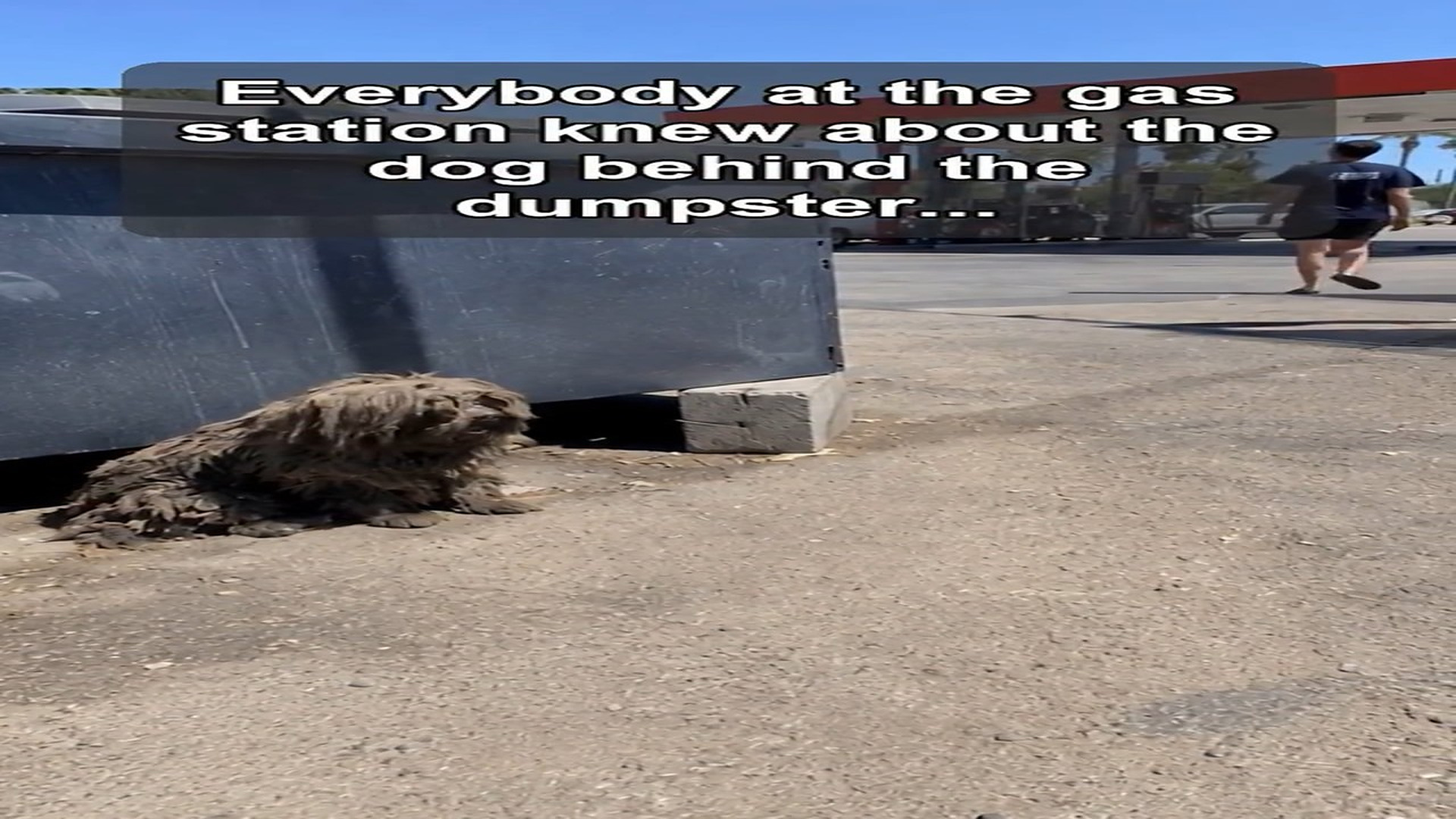 H1007042_Everybody at gas station warned me about dog behind dumpst