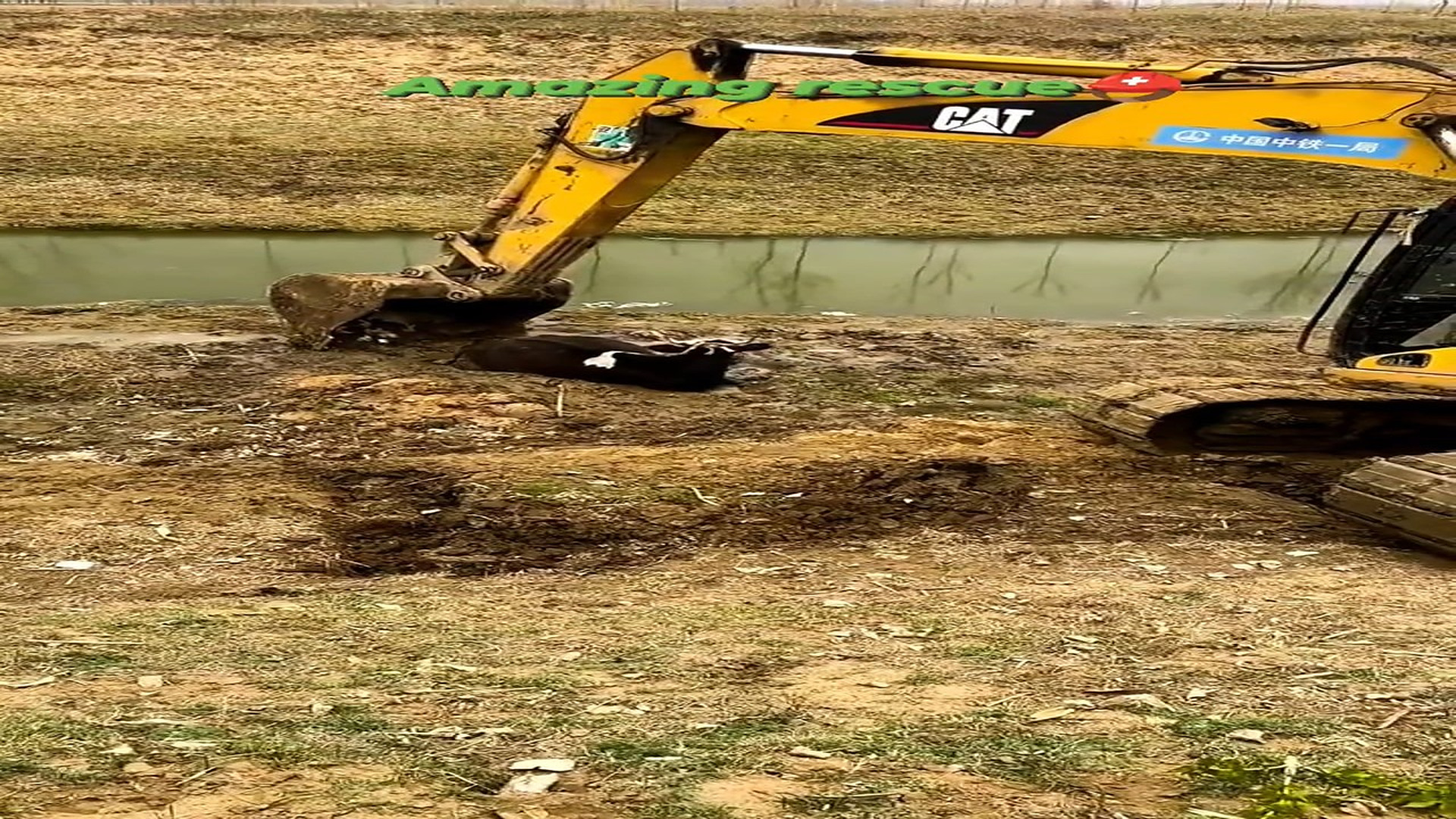 H0409028_K Amazing Rescue #Amazing #Rescue #Facebookreels #Foryouシ #Fypシ